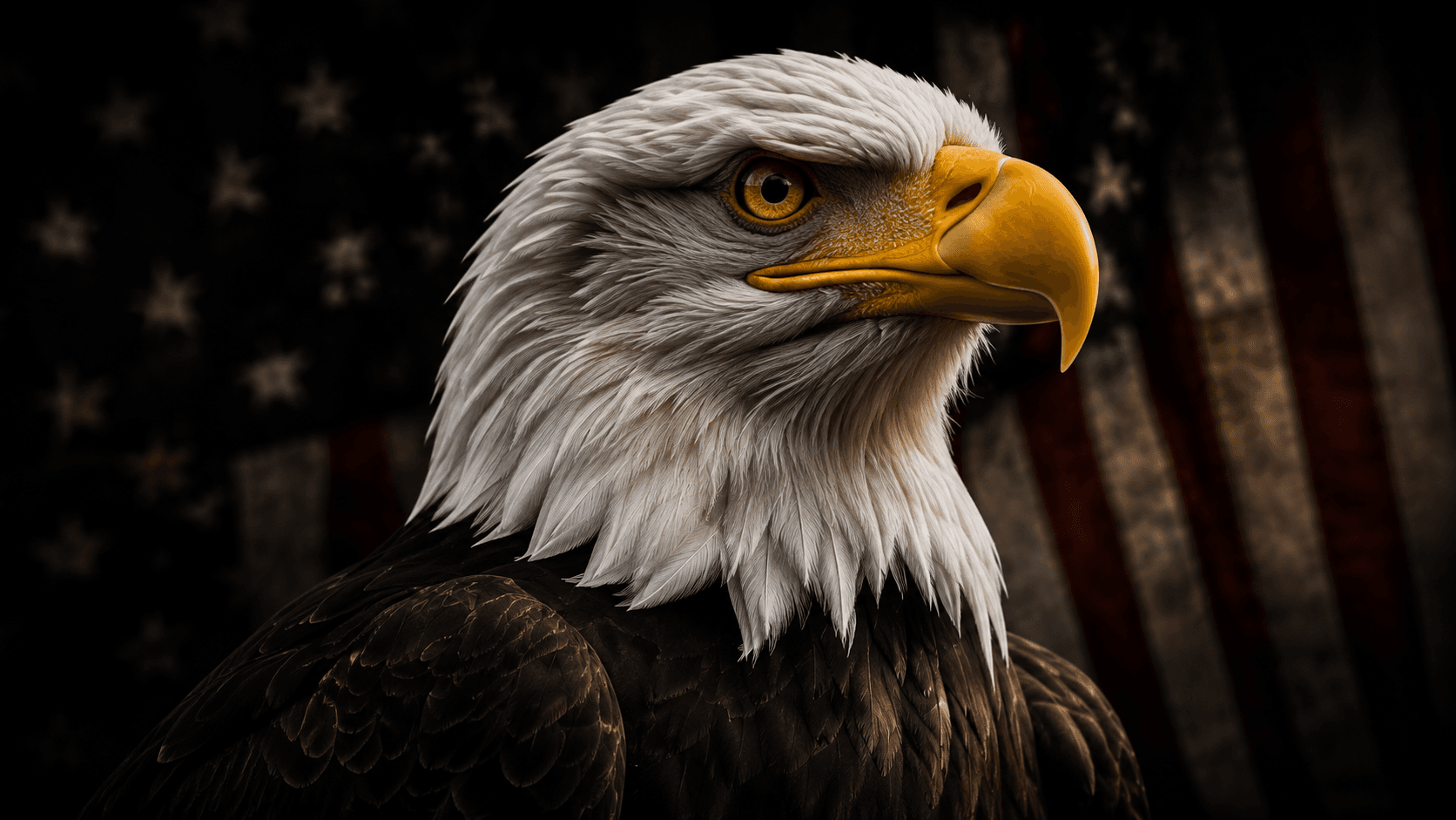 A bald eagle in profile against a United States flag